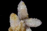 Cactus Quartz (Amethyst) Cluster - South Africa #115123-2